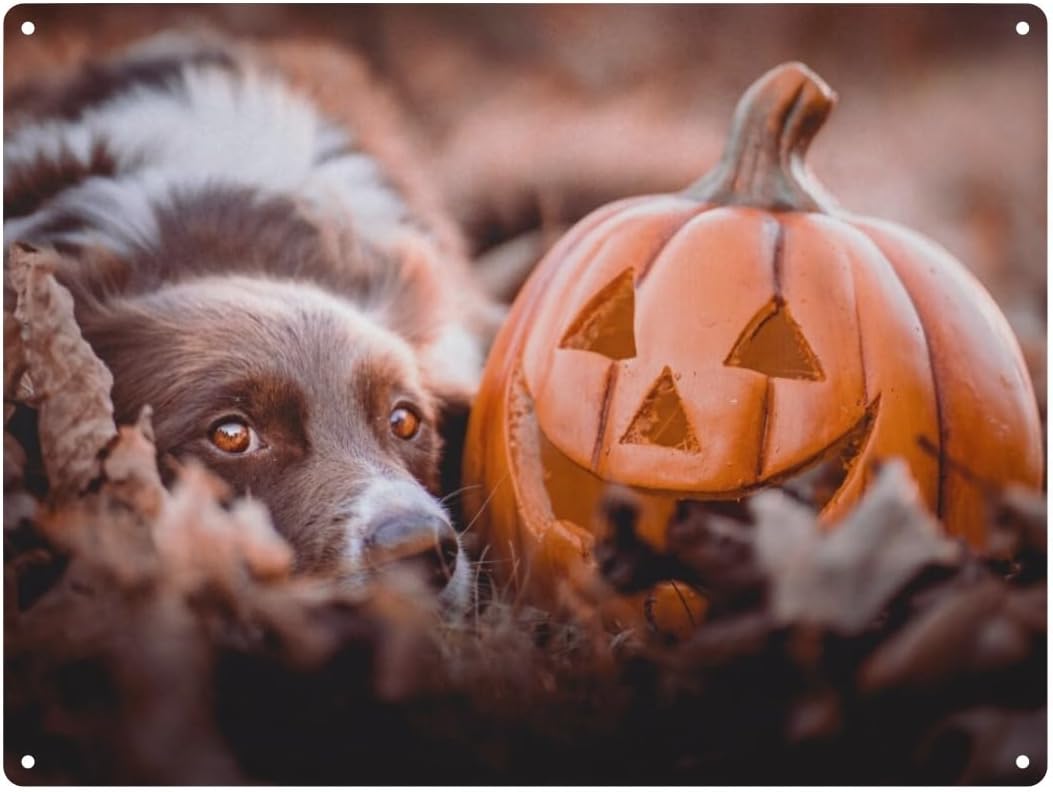 Home Bar And Coffee - Metal Tin Sign, Halloween Dog Autumn