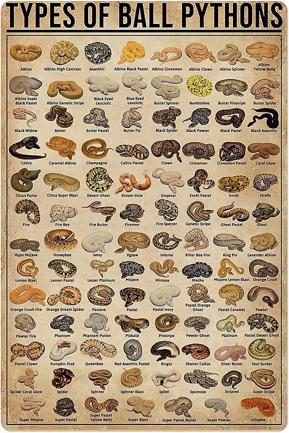 Home Bar And Coffee - Retro Metal Tin Sign Types of
