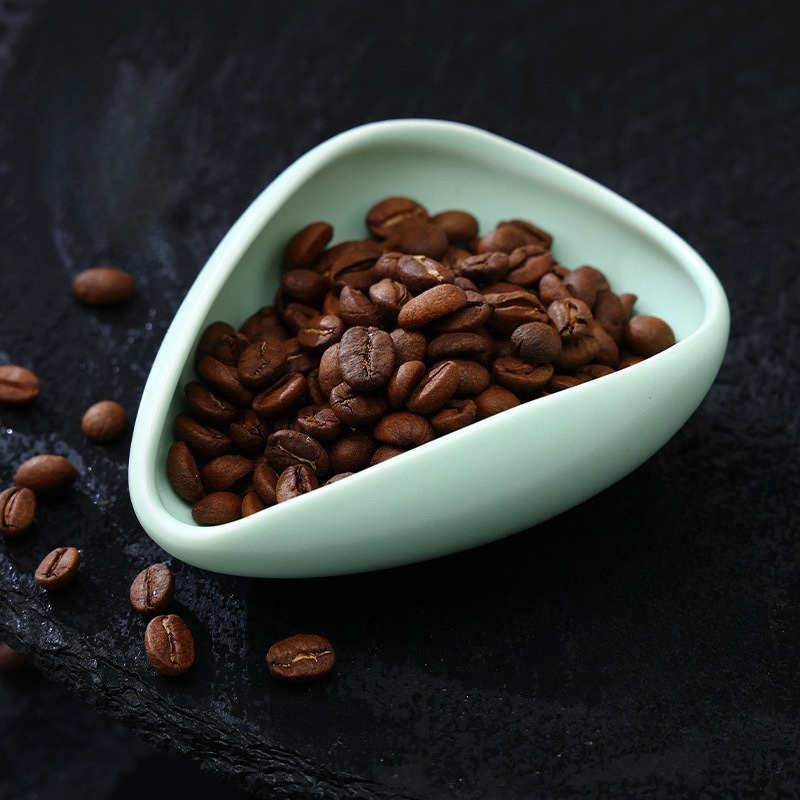 multicolour Coffee Bean Plate  - Home Bar And Coffee ulasan dan harga