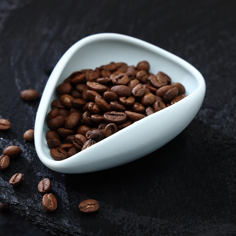 multicolour Coffee Bean Plate  - Home Bar And Coffee ulasan dan harga